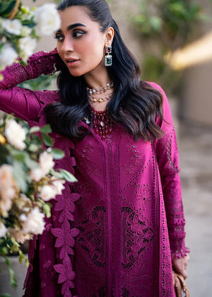 QK-VIOLET-FK-11 - Qalamkar