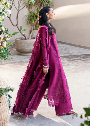 QK-VIOLET-FK-11 - Qalamkar